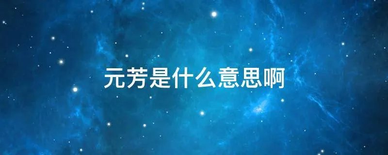 元芳是什么意思啊