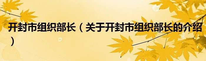 开封市组织部长（关于开封市组织部长的介绍）