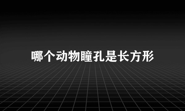 哪个动物瞳孔是长方形
