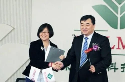 罗麦是一个怎样的公司?