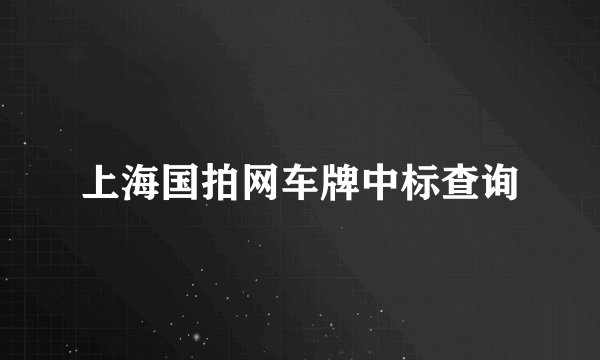 上海国拍网车牌中标查询