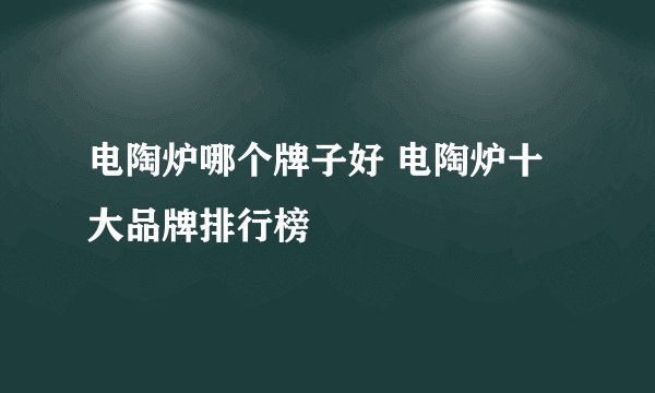 电陶炉哪个牌子好 电陶炉十大品牌排行榜