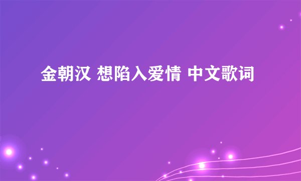 金朝汉 想陷入爱情 中文歌词