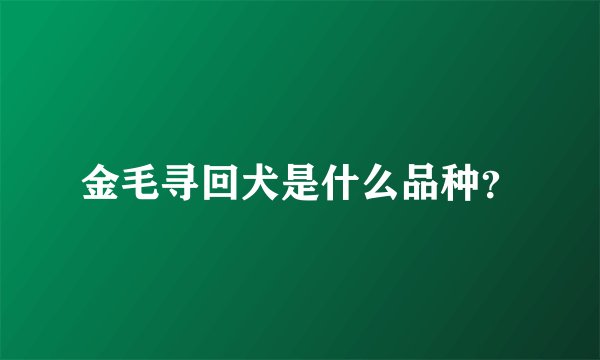 金毛寻回犬是什么品种？