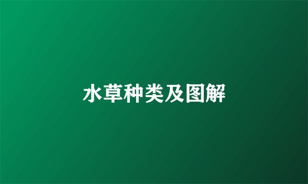 水草种类及图解
