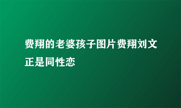 费翔的老婆孩子图片费翔刘文正是同性恋