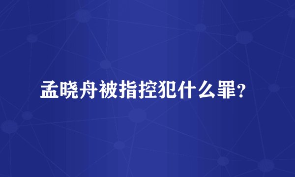 孟晓舟被指控犯什么罪？