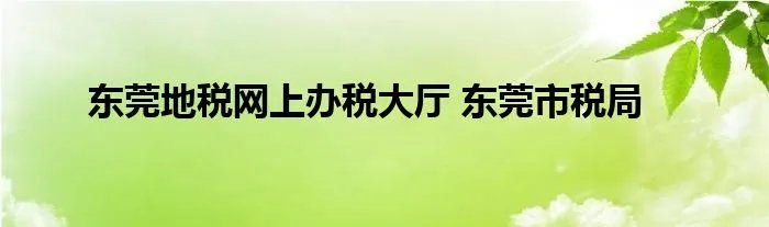东莞地税网上办税大厅 东莞市税局