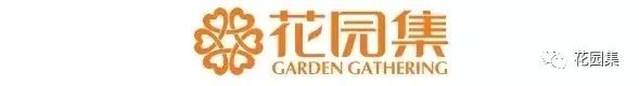 干货看了千百遍,一到设计就懵圈!庭院设计,你到底差在哪儿?