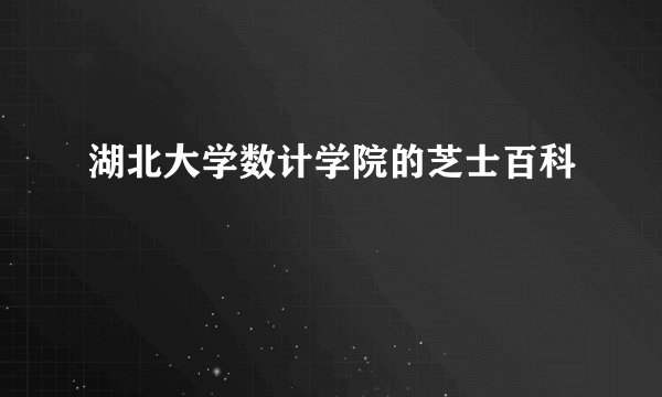 湖北大学数计学院的芝士百科