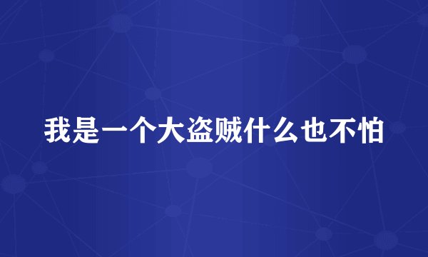 我是一个大盗贼什么也不怕