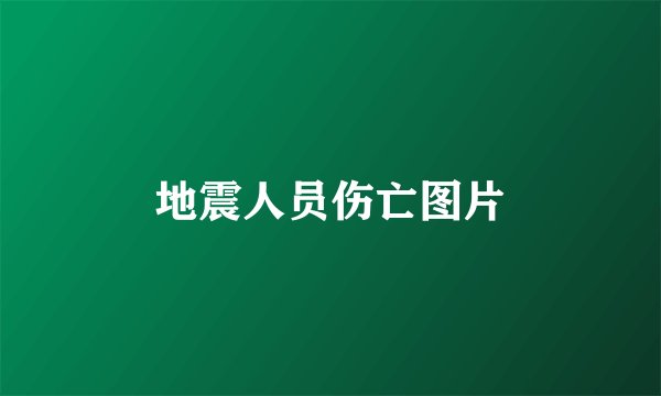 地震人员伤亡图片