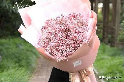 花语大全？