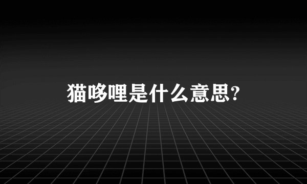 猫哆哩是什么意思?