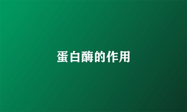 蛋白酶的作用