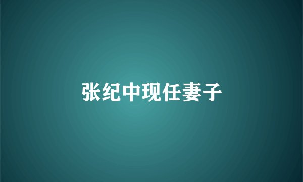 张纪中现任妻子