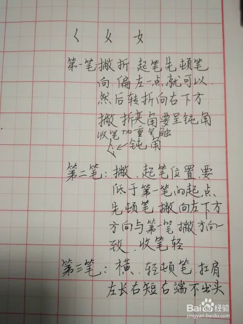 姓的笔顺和书写规范