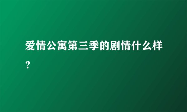 爱情公寓第三季的剧情什么样？