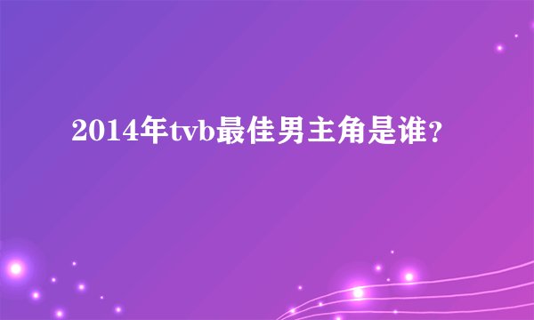 2014年tvb最佳男主角是谁？