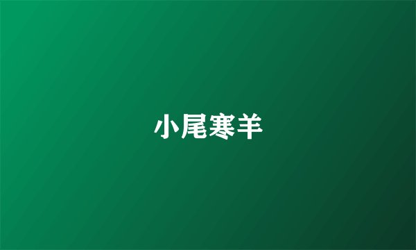 小尾寒羊