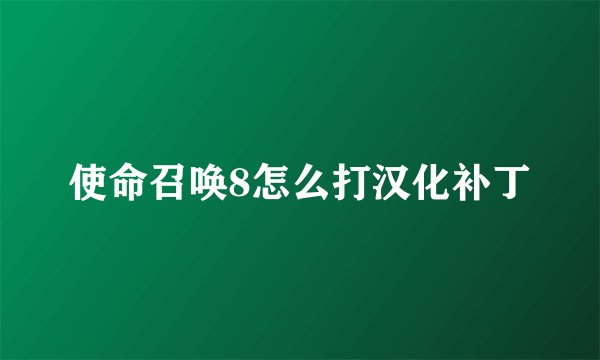 使命召唤8怎么打汉化补丁