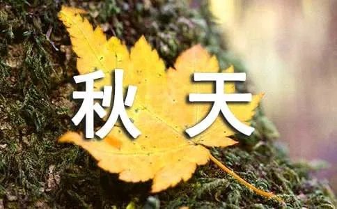 秋天的雨课文原文全解