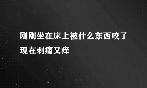 刚刚坐在床上被什么东西咬了现在刺痛又痒