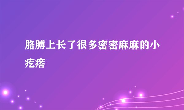 胳膊上长了很多密密麻麻的小疙瘩
