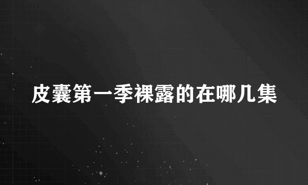 皮囊第一季裸露的在哪几集