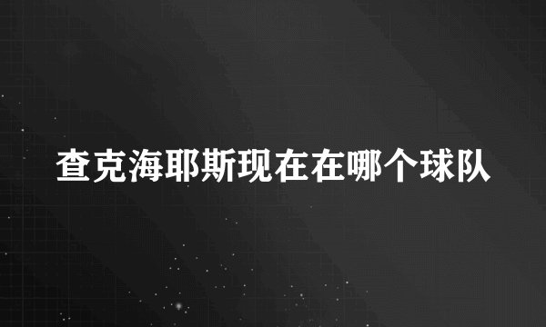 查克海耶斯现在在哪个球队