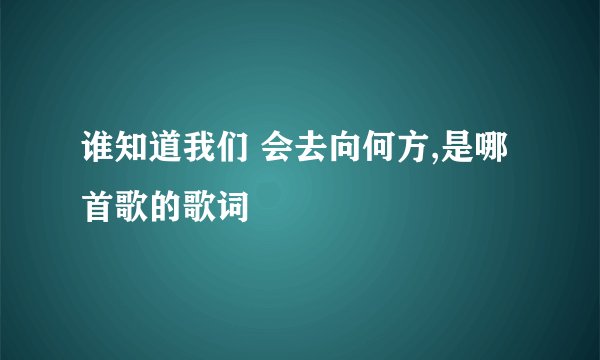 谁知道我们 会去向何方,是哪首歌的歌词