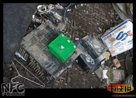 百年洪水来袭 澳洲玩家藏品惨遭洪水蹂躏(图）