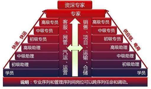 员工职业发展的通道主要途径不包括什么?