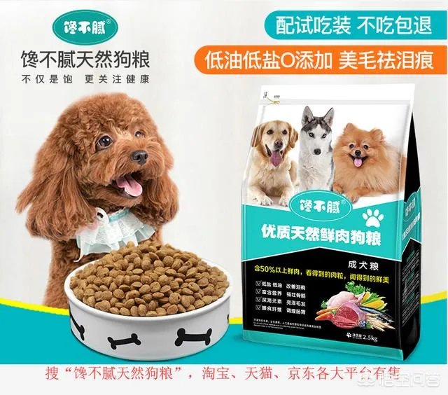 为什么罗威纳很少有人养?