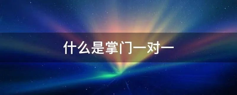 什么是掌门一对一