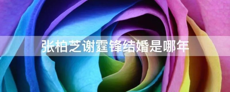 张柏芝谢霆锋结婚是哪年