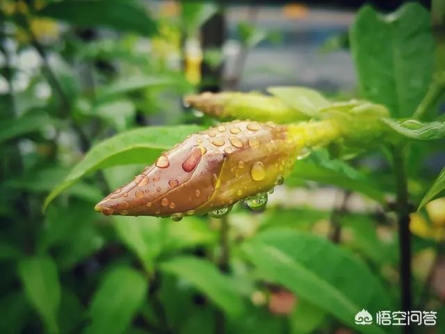 阴雨天如何拍出好照片？