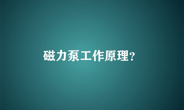 磁力泵工作原理？