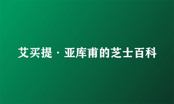 艾买提·亚库甫的芝士百科