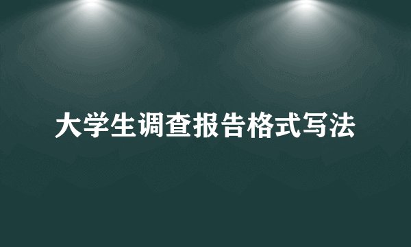 大学生调查报告格式写法
