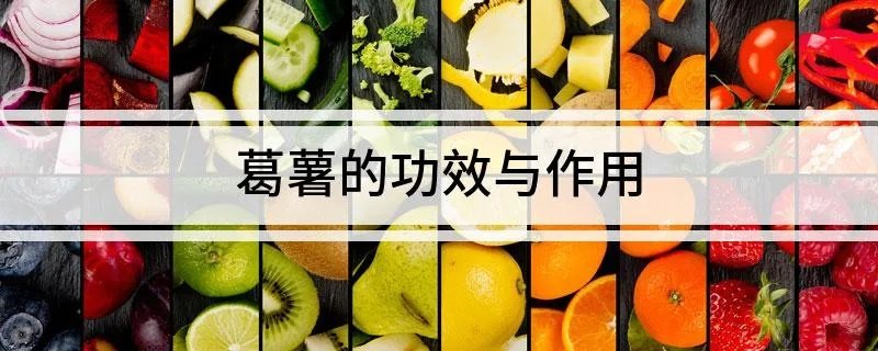 葛薯的功效与作用