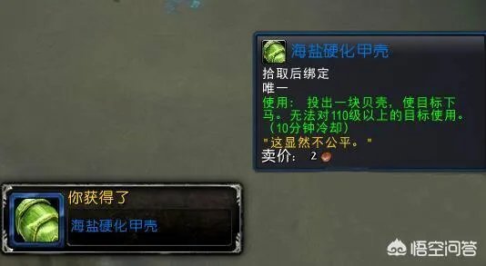 魔兽世界新达拉然有没有把人砸下坐骑的道具？