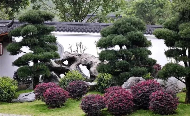 庭院里的这一方石头,历经千年,大有讲究