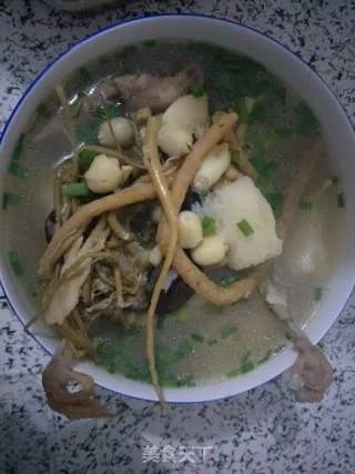 鸽子汤