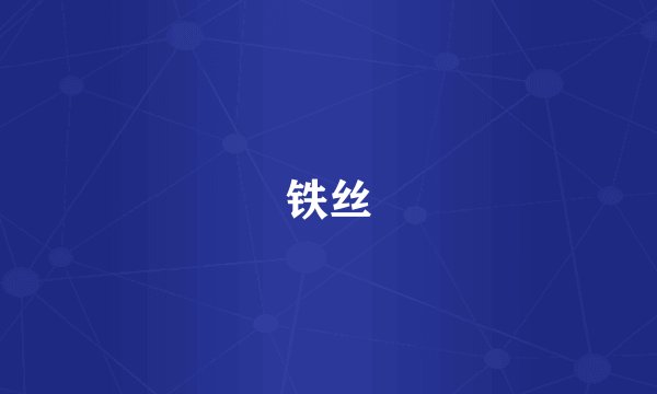 铁丝