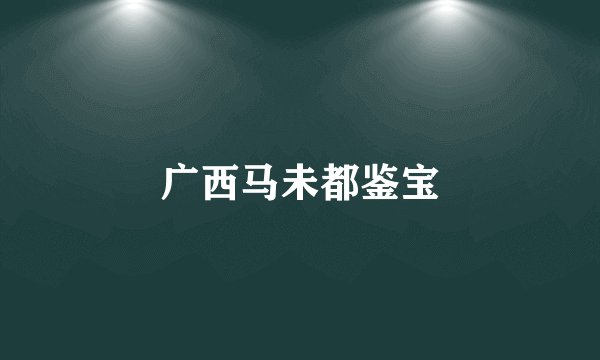 广西马未都鉴宝