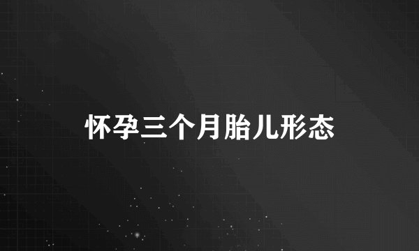 怀孕三个月胎儿形态
