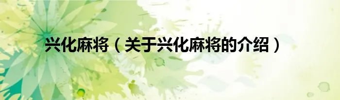 兴化麻将（关于兴化麻将的介绍）