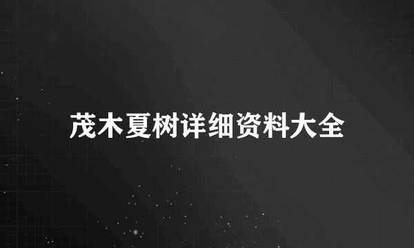 茂木夏树详细资料大全