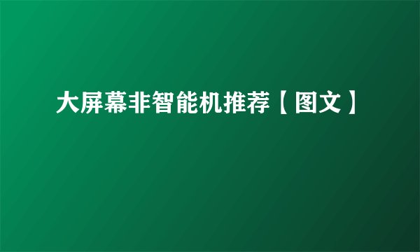 大屏幕非智能机推荐【图文】